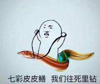 紫薇是什么梗