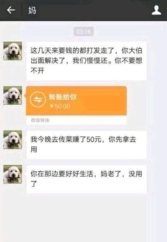 妈妈传菜是什么梗