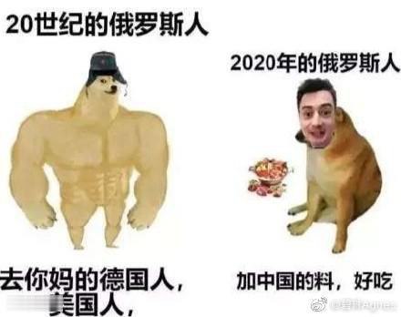 Cheems是什么梗