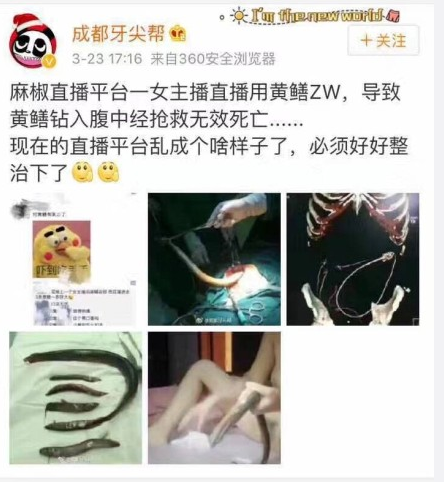 麻椒直播是什么梗