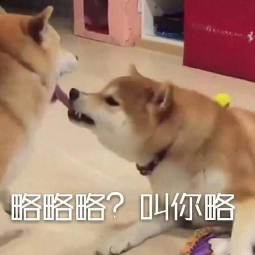 笑yue了是什么梗