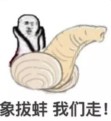 象拔蚌是什么梗