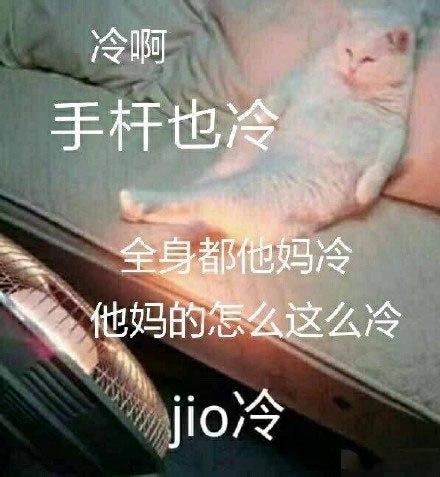 泡jio是什么梗