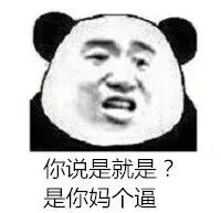 你说是就是？是你妈个逼