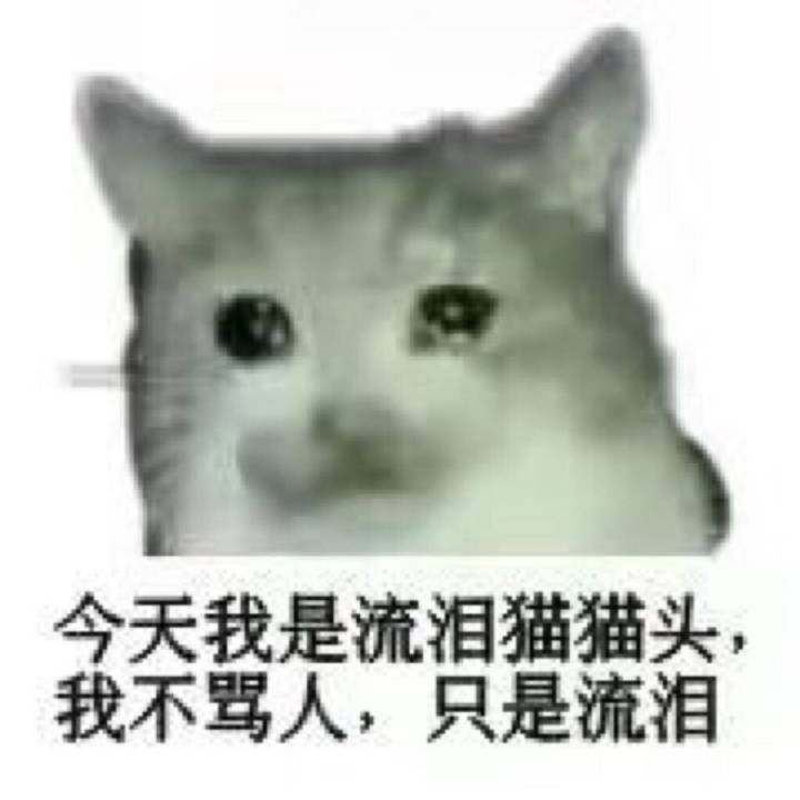 今天我是流泪猫猫头，我不骂人，只是流泪