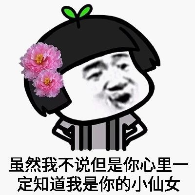 小仙女是不会生气的表情