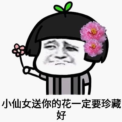 小仙女是不会生气的表情