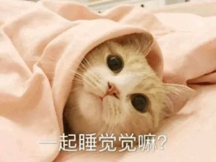 睡猫的表情包：床暖好了，来睡吧