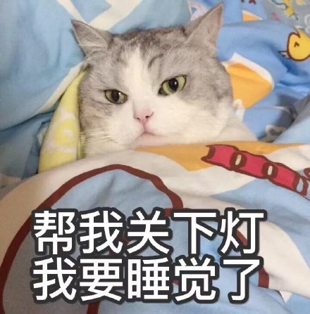 睡猫的表情包：床暖好了，来睡吧