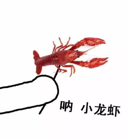 小龙虾表情包 哭的像一只两百斤的小龙虾