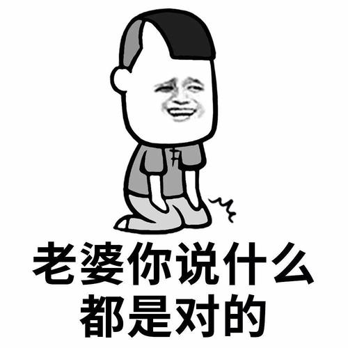 你说什么都对表情包 说的跟真的一样