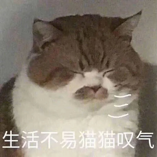 凄凉表情包 生活不易猫猫叹气