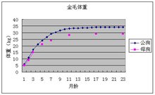  金毛犬(犬种)