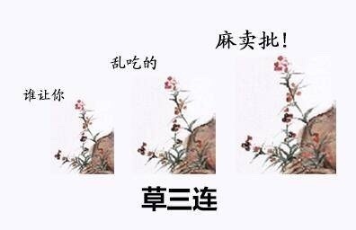 草三连：谁让你乱吃的妈卖批