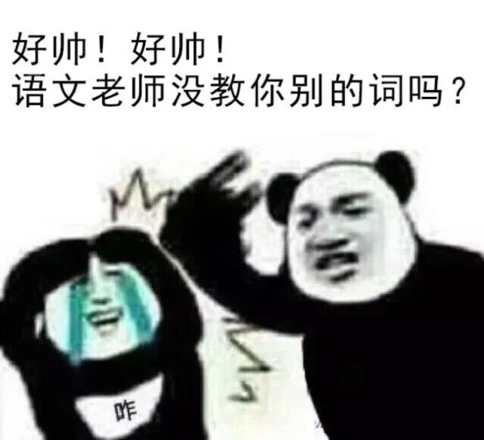 好帅好帅语文老师没教你别的词吗？