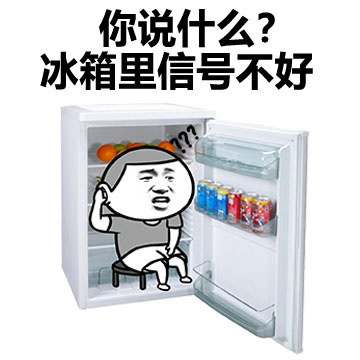 你说什么？冰箱里信号不好