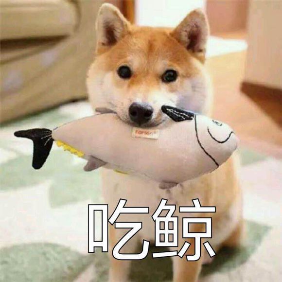 doge：吃惊（吃鲸）