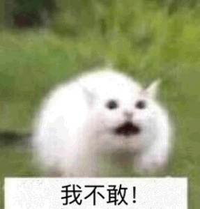 我不敢!