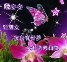 晚安愿朋友夜夜有好梦天天快乐相随