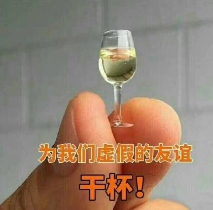 为我们虚假的友谊干杯