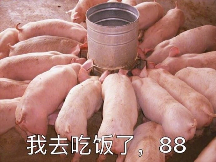 我去吃饭了886