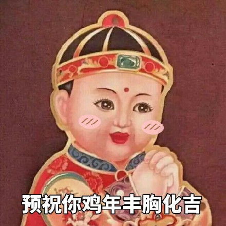 预祝你鸡年丰胸化吉