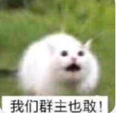 我们群主也敢