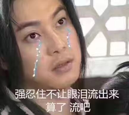 强忍住不让眼泪流出来算了流吧