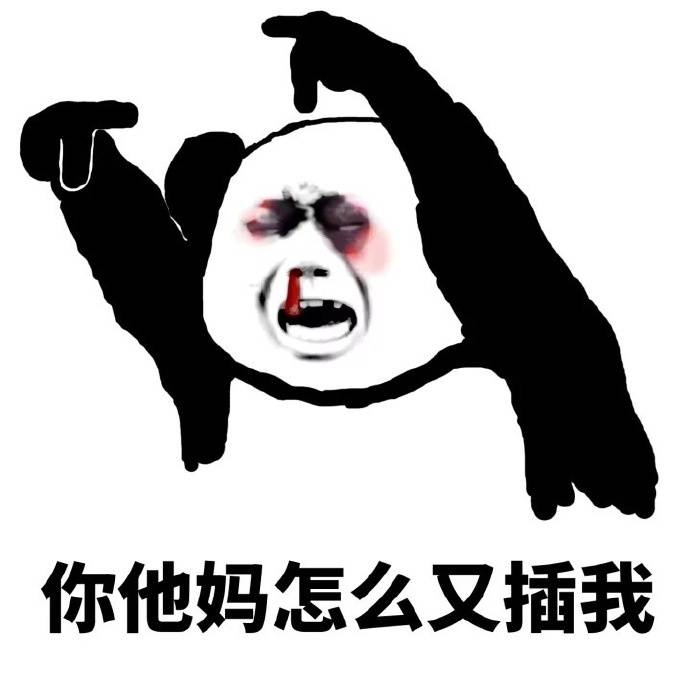 你他妈怎么又插我